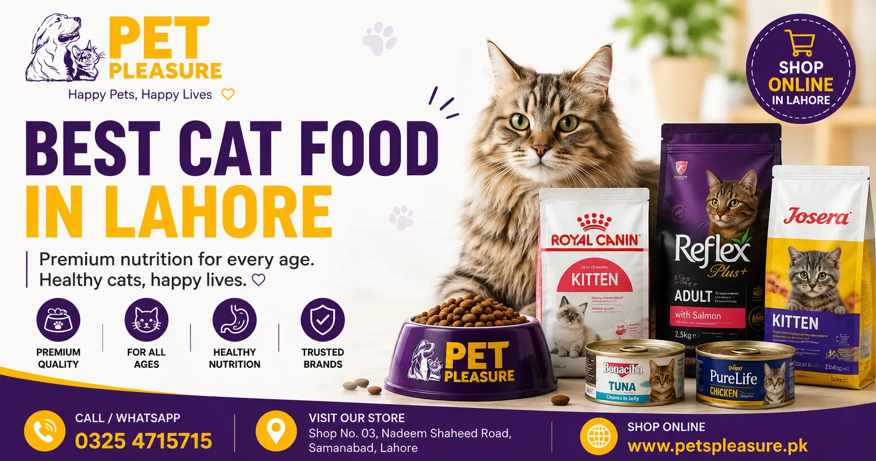 Best Cat Food in Lahore